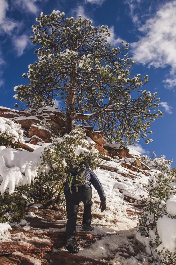 zion, angels landing, snow, red rock, utah, hiking, nature, winter, climbing, risk