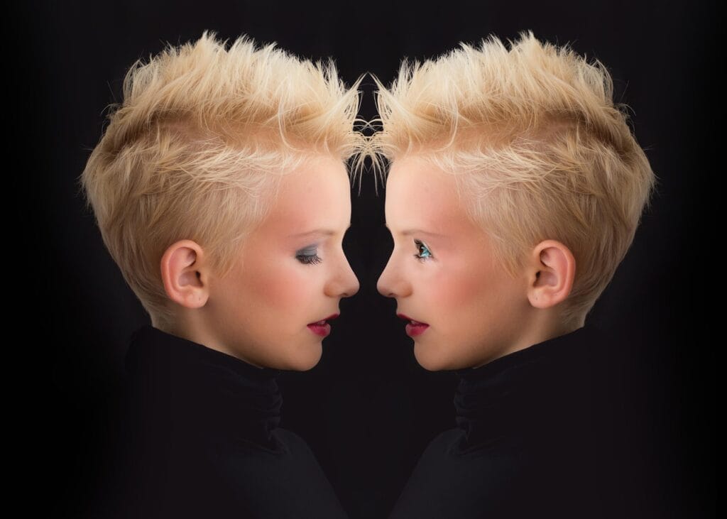 These are twin try to do self-awareness by psychology of each other. 