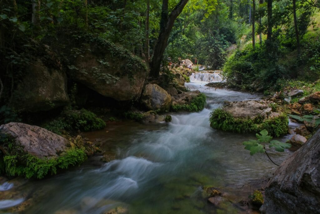 Peaceful forest scene with a flowing stream and waterfall surrounded by lush greenery.