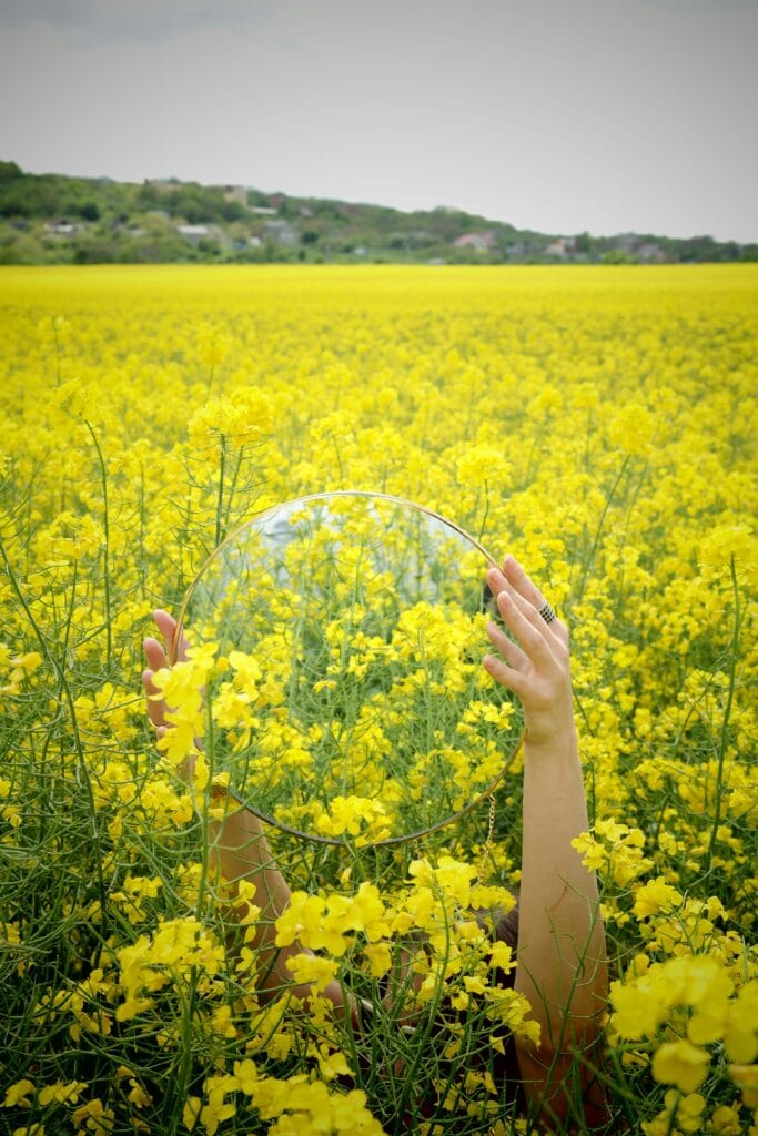 Surreal reflection in blooming canola field with hands holding a mirror.