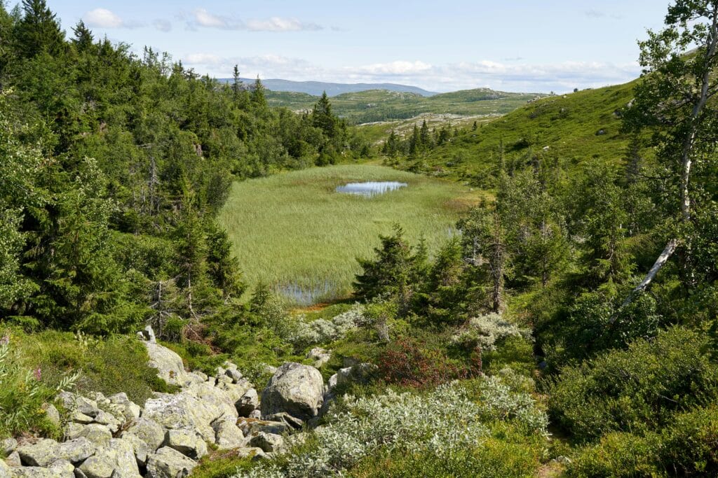 Peaceful mountain landscape with a serene lake surrounded by lush greenery in Viken, Norway.