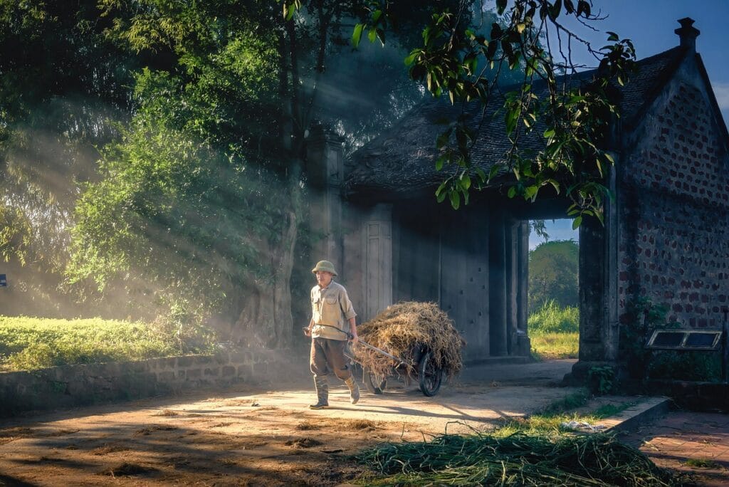 This image shows how to practice daily mindfulness for beginners at home mean with focus as the labourer is doing.