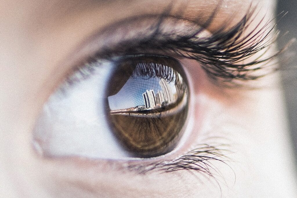 eye, human, sight, vision, nature, change,
