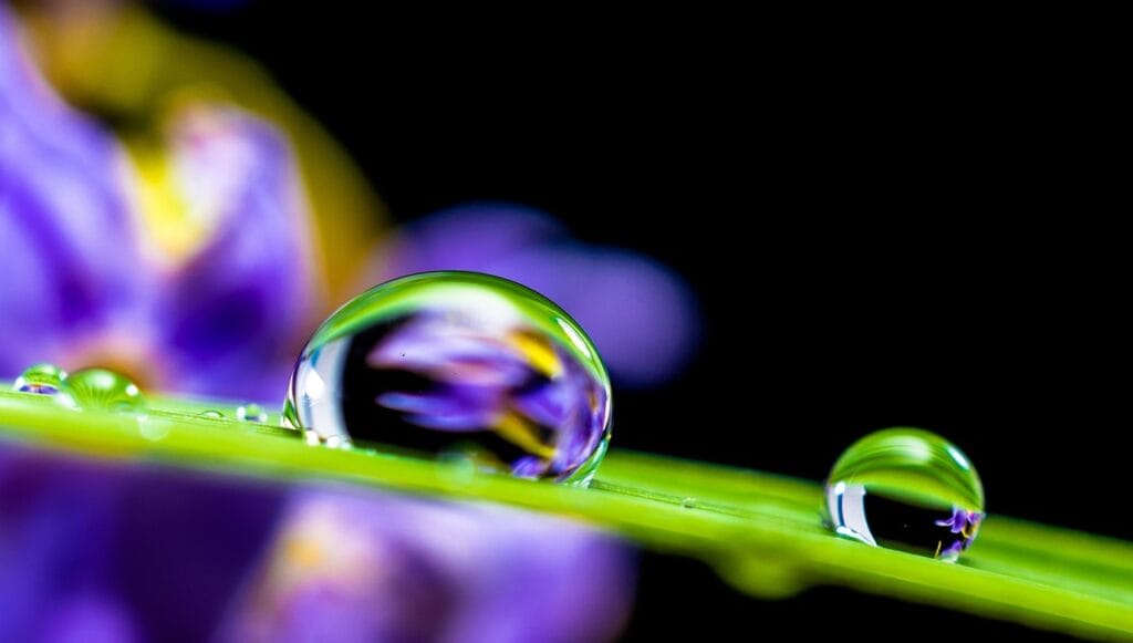 Spiritual surrender how letting go brings peace, strength, and divine clarity
