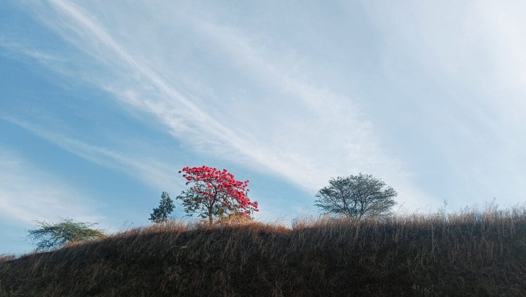 The image is a representative of why the most beautiful places await you.