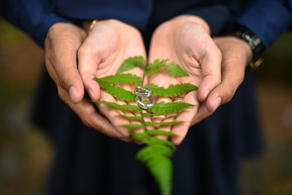Close-up of couples' hands delicately holding wedding rings on a green fern, symbolizing love and nature.
