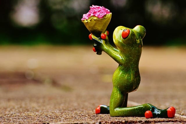 Why Is Love a Form of Energy boosting brain chemistry and focus.