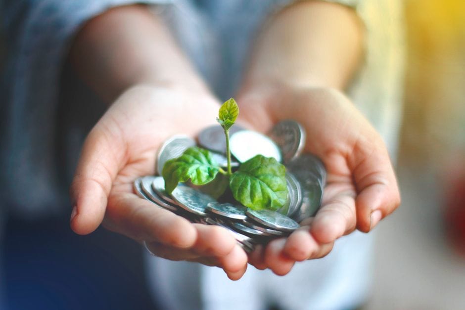 How Net Wealth Works through appreciating assets and long term investment growth.