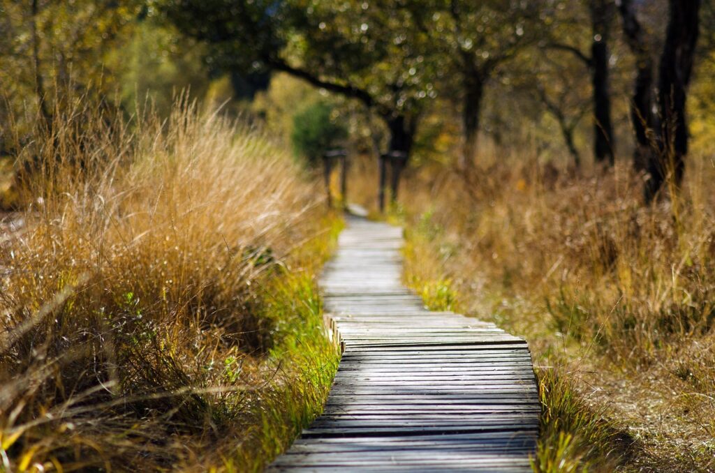 Most Beautiful Nature Reserves Globally that are Most Beautiful Secret Nature Reserves Without Heavy Crowds.