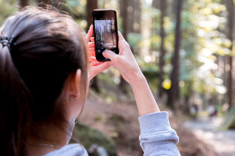 The image is a symbol of how nature photography reduces stress by captures scenic forest views with eager.
